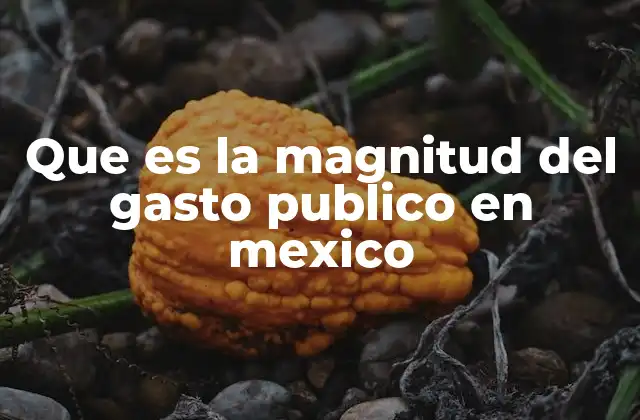 Que es la Magnitud Del Gasto Publico en Mexico