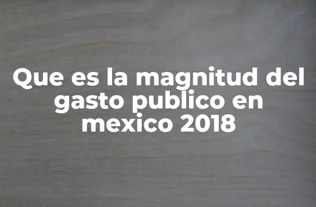 Que es la Magnitud Del Gasto Publico en Mexico 2018