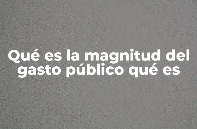 Qué es la Magnitud Del Gasto Público Qué es
