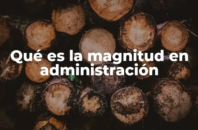 Qué es la Magnitud en Administración