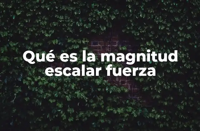 Qué es la Magnitud Escalar Fuerza