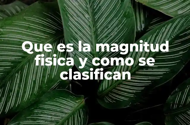 Que es la Magnitud Fisica y como Se Clasifican