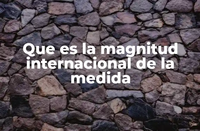 Que es la Magnitud Internacional de la Medida 2 La importancia de contar con un sistema común de medidas