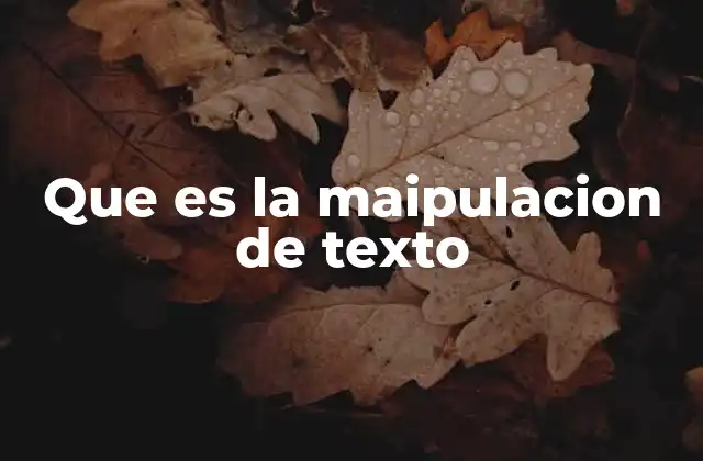 Que es la Maipulacion de Texto