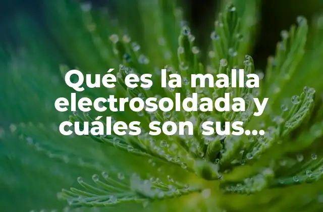 Qué es la Malla Electrosoldada y Cuáles Son Sus Medidas