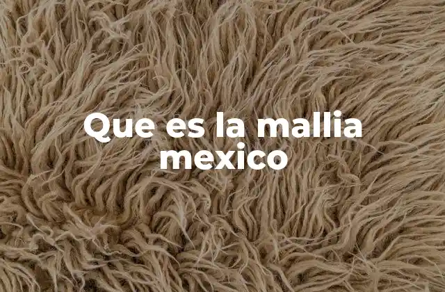 Que es la Mallia Mexico