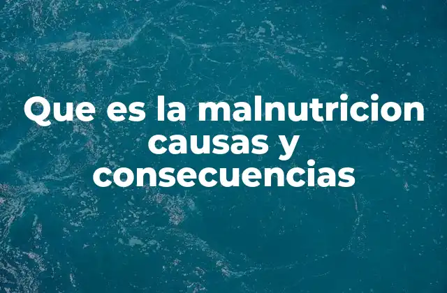 Que es la Malnutricion Causas y Consecuencias
