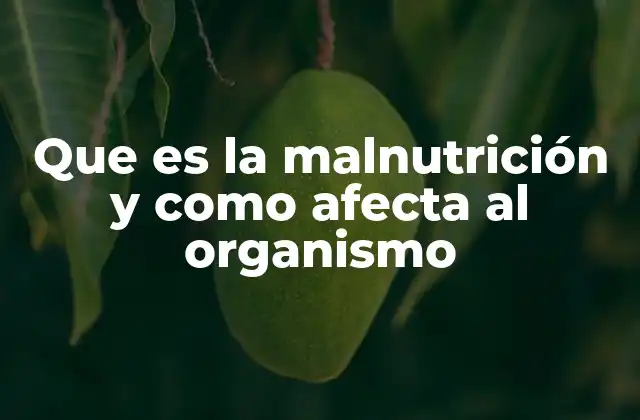 Que es la Malnutrición y como Afecta Al Organismo