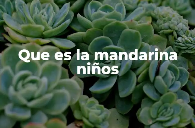 Que es la Mandarina Niños