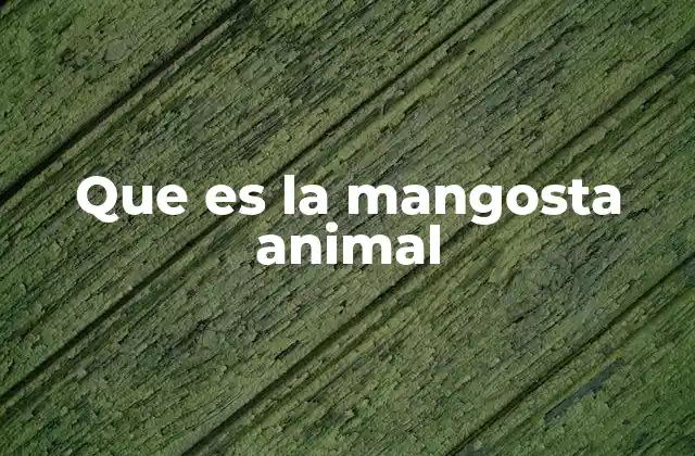 Características físicas y comportamiento de la mangosta