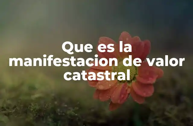 Que es la Manifestacion de Valor Catastral