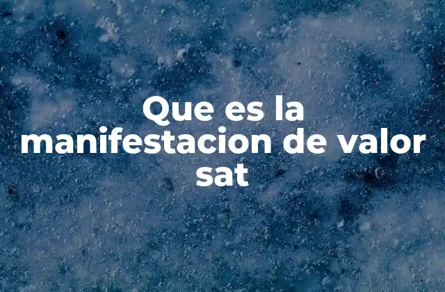 Que es la Manifestacion de Valor Sat