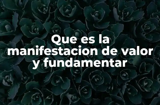 Que es la Manifestacion de Valor y Fundamentar