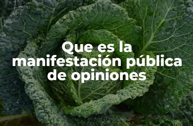 Que es la Manifestación Pública de Opiniones