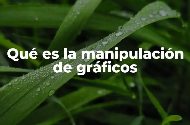 Qué es la Manipulación de Gráficos