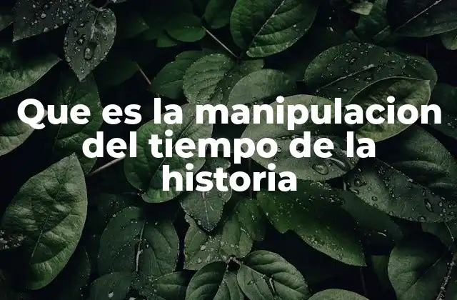 Que es la Manipulacion Del Tiempo de la Historia