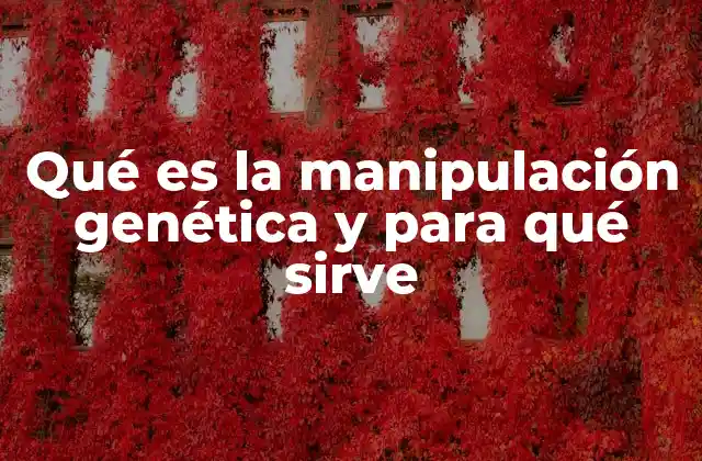 Qué es la Manipulación Genética y para Qué Sirve