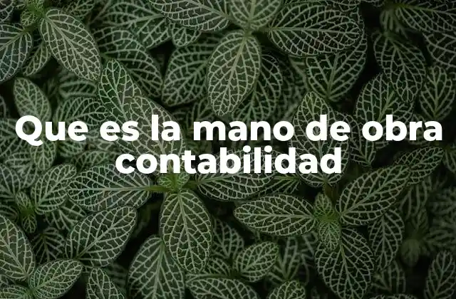 Que es la Mano de Obra Contabilidad