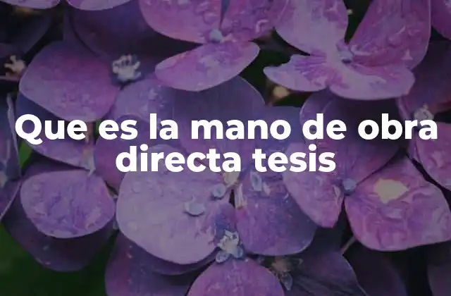 Que es la Mano de Obra Directa Tesis