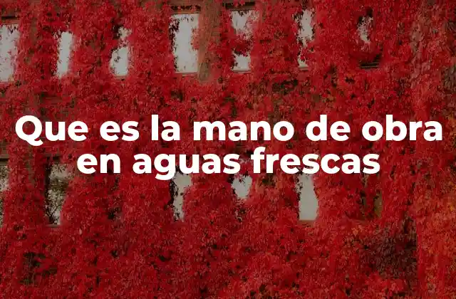 Que es la Mano de Obra en Aguas Frescas