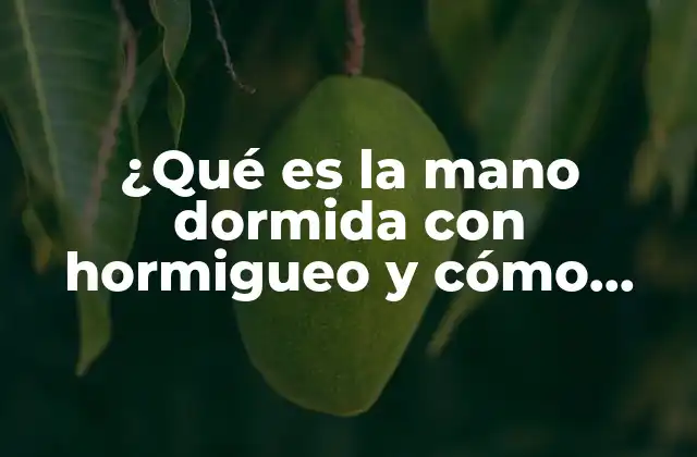 ¿qué es la Mano Dormida con Hormigueo y Cómo Tratarla? 2 Causas de la mano dormida con hormigueo