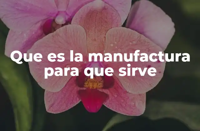 Que es la Manufactura para que Sirve