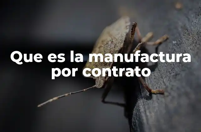 Que es la Manufactura por Contrato