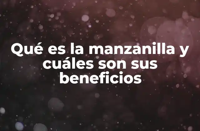 Qué es la Manzanilla y Cuáles Son Sus Beneficios