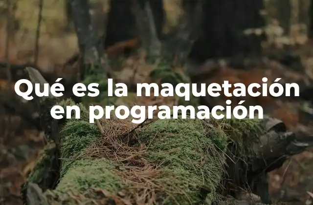 Qué es la Maquetación en Programación