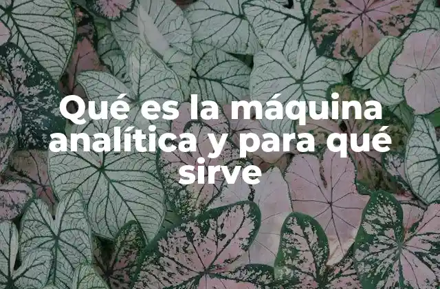 Qué es la Máquina Analítica y para Qué Sirve