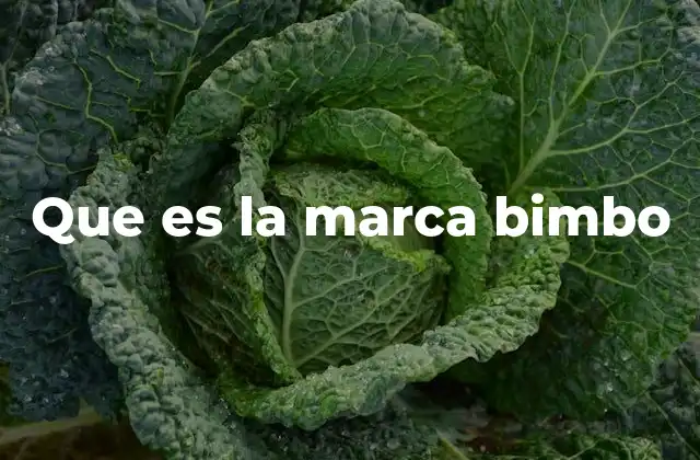 Que es la Marca Bimbo
