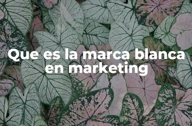 Que es la Marca Blanca en Marketing