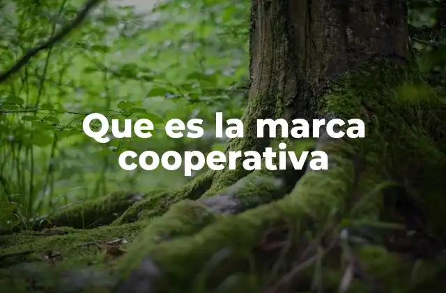 Que es la Marca Cooperativa