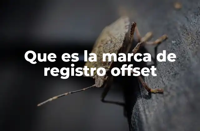 Que es la Marca de Registro Offset