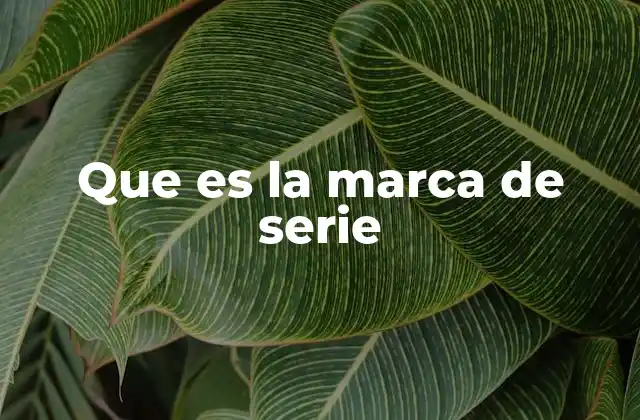 Que es la Marca de Serie