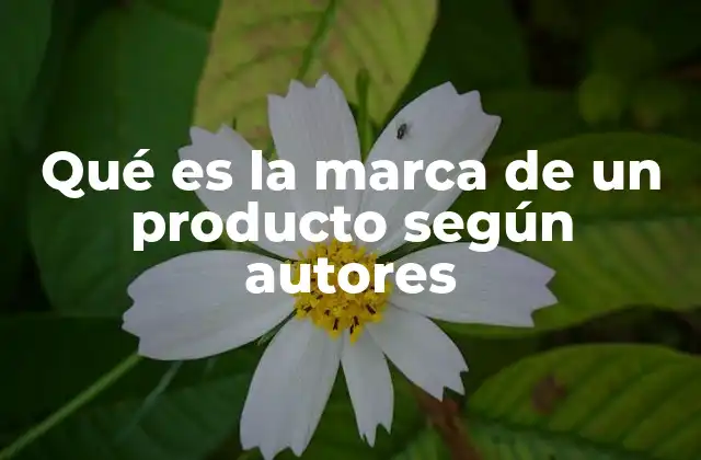 Qué es la Marca de un Producto según Autores