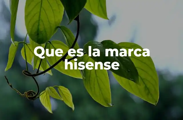 Que es la Marca Hisense