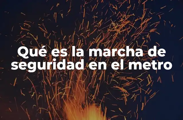 La importancia de mantener la disciplina en los espacios públicos de transporte