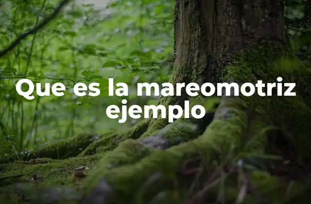 Que es la Mareomotriz Ejemplo 2 La energía de las mareas como fuente renovable y sostenible