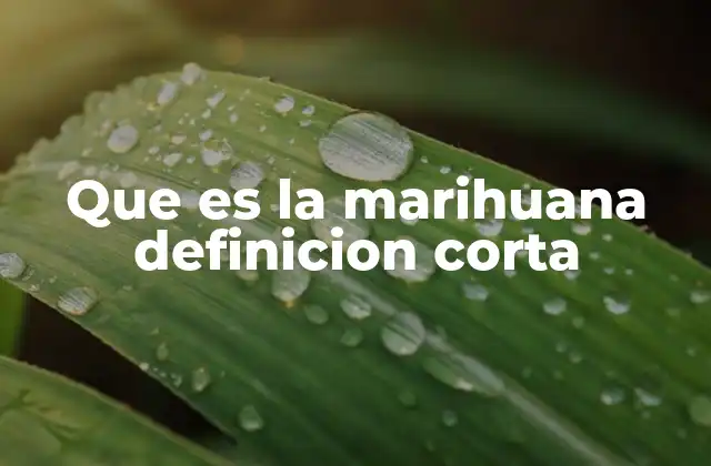 Orígenes y características de la planta cannabis