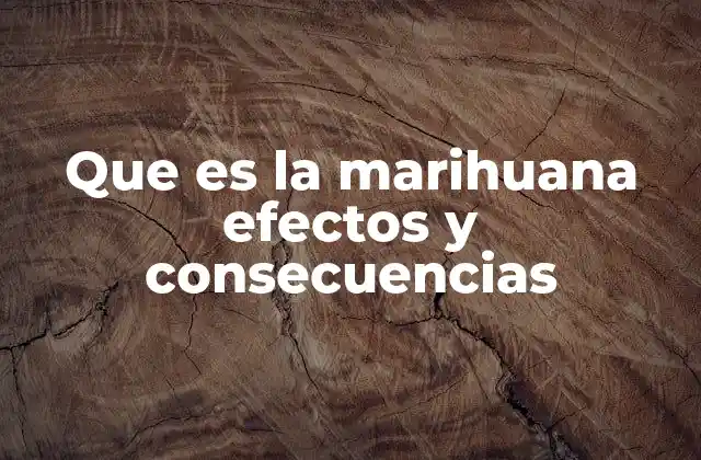 Que es la Marihuana Efectos y Consecuencias