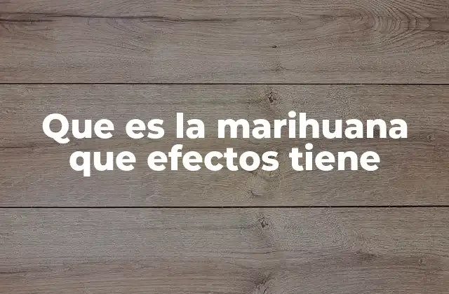 Que es la Marihuana que Efectos Tiene