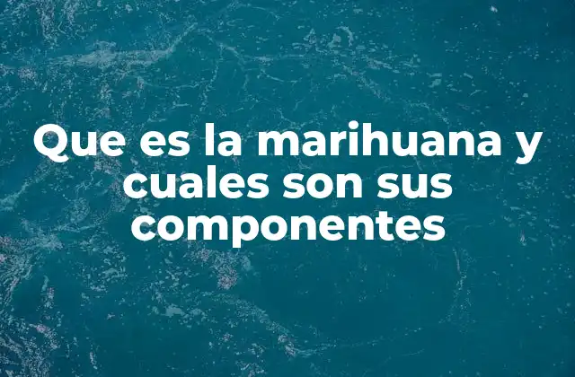 Que es la Marihuana y Cuales Son Sus Componentes