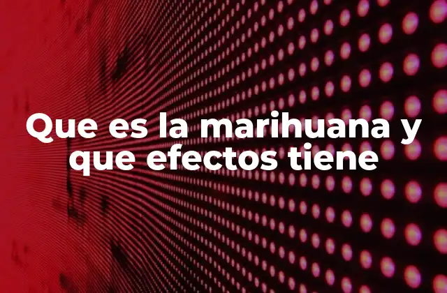 Que es la Marihuana y que Efectos Tiene