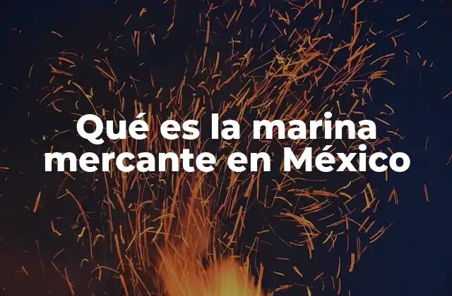 Qué es la Marina Mercante en México