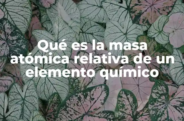Qué es la Masa Atómica Relativa de un Elemento Químico