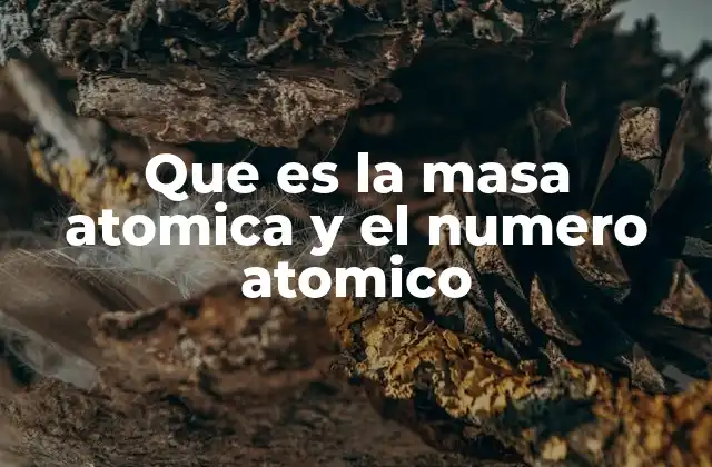 Que es la Masa Atomica y el Numero Atomico