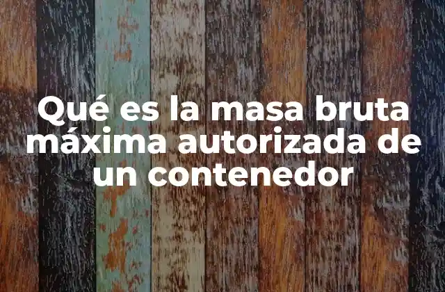 Qué es la Masa Bruta Máxima Autorizada de un Contenedor