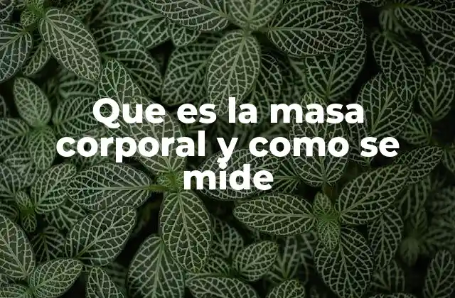Que es la Masa Corporal y como Se Mide