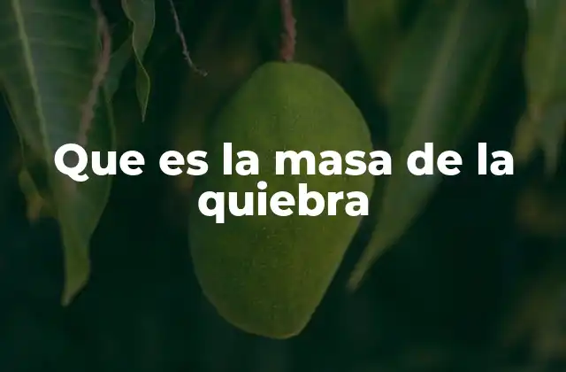 Que es la Masa de la Quiebra